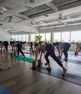 Movement, breath, and a room full of good energy.
Grateful for every person who shows up for themselves at Healthletica. 💚