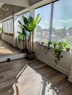 A calm space, a deep breath, and a view of the community we love. Growth happens here—inside and out. 🌿

#Healthletica #BoltonWellness #MindfulMovement #StudioSanctuary #WellnessCommunity