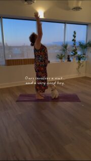 One Puppy Yoga is back this Sunday at 10AM 

and Ryan is very ready to help you stretch, breathe, and melt a little. 🐕🧘🏻‍♀️🥰

Join Fiona and our favourite furry co‑teacher for a monthly class that blends gentle movement with pure joy. 

Perfect for all levels — especially if you need a dose of wag‑powered therapy.

✨ One Sunday a month. One very good pup. Endless smiles. 

#Healthletica #puppyyoga #yogagram #yogacommunity