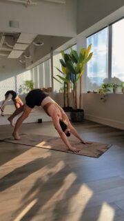 Progress isn’t built on perfection. 
It’s built on the quiet choice to show up, breathe, and move — again and again.

#yogainspiration #consistencyiskey #progressoverperfection #mindfulmovement #Healthletica