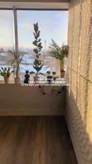 The work you’re doing matters, even on the days it feels small. 
Keep going — your strength is building with every step. 💚

#Healthletica #BoltonOntario #WellnessStudio #MindfulMovement #KeepGoing