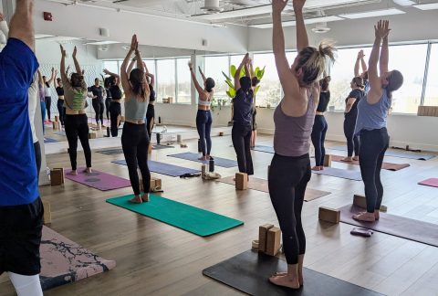 Modern Hot Yoga vs Bikram