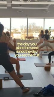 Plant the seed today. 
Let your practice grow into strength, clarity, and calm. 🌱💚

#Healthletica #YogaGram #PilatesGram #MindBodyConnection #MindfulLiving